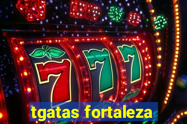 tgatas fortaleza